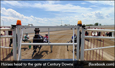 Rookies In Spotlight At Century