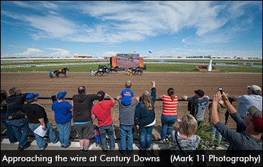 Alberta Sires Stakes Season Begins