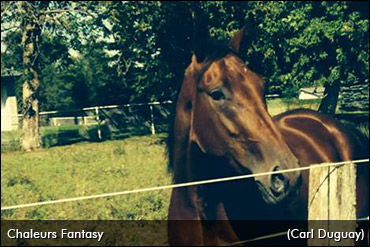 Stakes Win A 'Fantasy' Come True