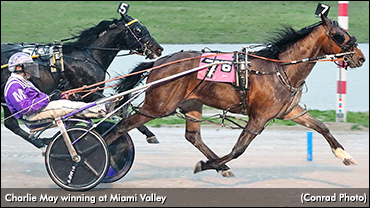 Charlie May Charges In Hackett Elim
