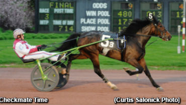 Spotlight On Trotters In Weiss 