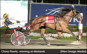 Classy Mares Qualify At Woodbine