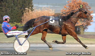 Woodbine’s Open To Armbro Chronicle