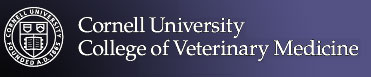 Research Unites Athletes And Horses