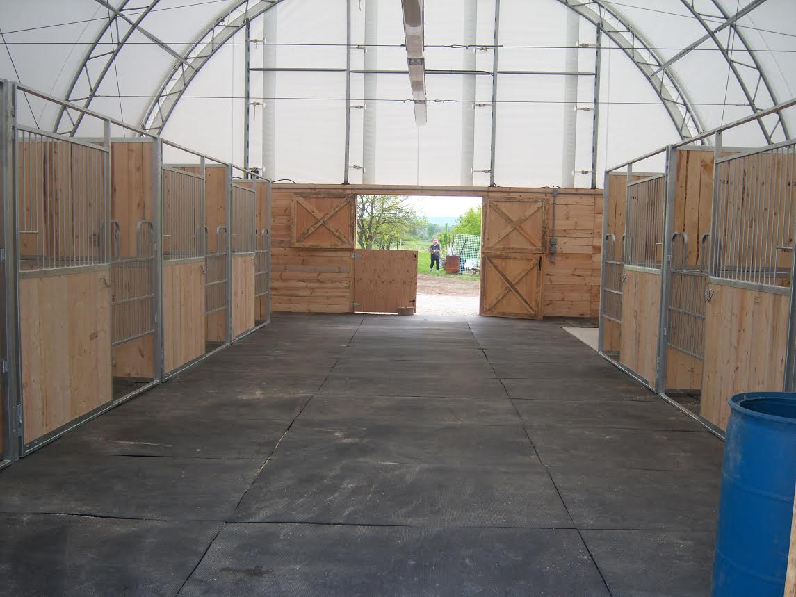 Downbytheseaside Slays The Dragon