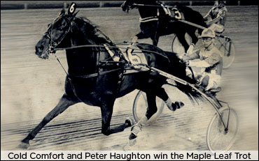 Remembering Peter Haughton