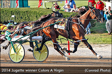 Colors A Virgin Wins Jugette