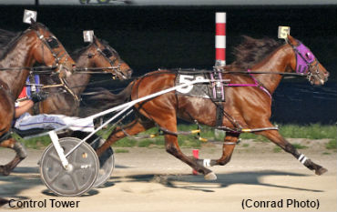 Control Tower Tops Spring Sale