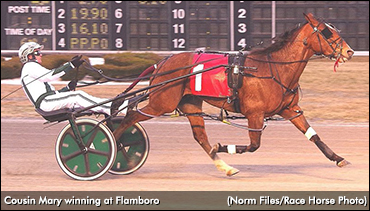 Cousin Mary Marches At Flamboro