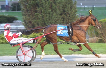 Bit Of Everything In Princess Sequel