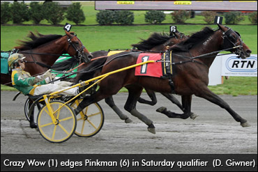 Stars Flood Meadowlands Qualifiers