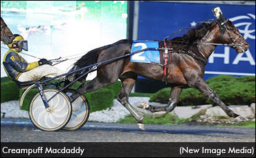MacDaddy To Yonkers Trot