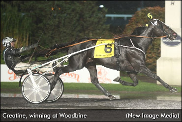 Creatine Injured, Retired