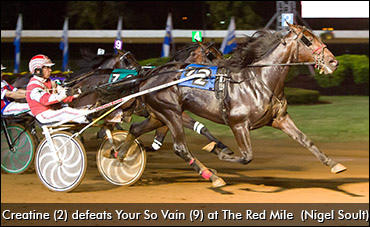 More Trotters Heading To Europe