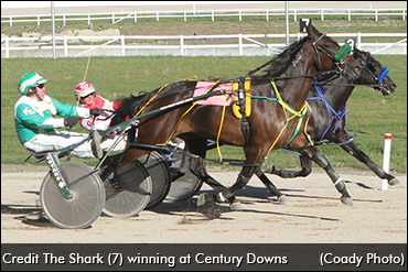 Century's Stakes Season Begins