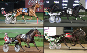 Only Four For Credit Winner Trot