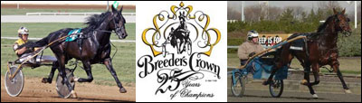 Breeders Crown Horses Test Negative 