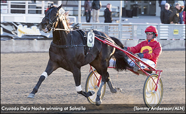 Cruzado Dela Noche Retired, To Stud