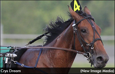 Update On Crys Dream