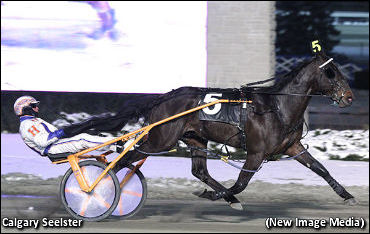 Stage Set For Apaches Fame Stakes