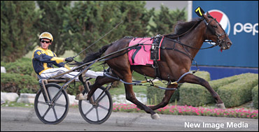 Trot NA Cup Spring Book - #10 