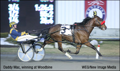 The Comeback Of Daddy Mac