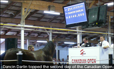 Two-Year-Old Qualifiers Flood Mohawk