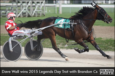 Wall On Coming Full Circle