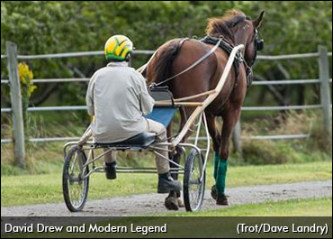 The Stuff Legends Are Made Of