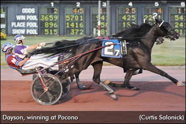 Out Of His Stablemate's Shadow