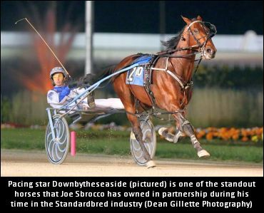 Sbrocco Encourages Partnerships