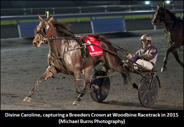 Divine Caroline To Be Retired, Bred