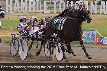 Dealt A Winner Set For 2017 Debut