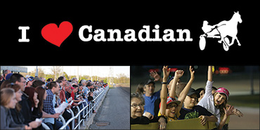 Celebrate Your 2016 Memories!