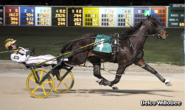 Delco Willobee Favoured In Maywood Pace