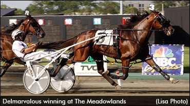 Delmarvalous To Stand Stud In 2013