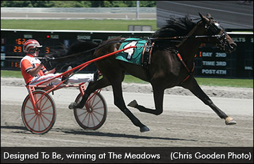 World Record For Designed To Be