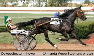 Photos Of 'Dewey's First Foal