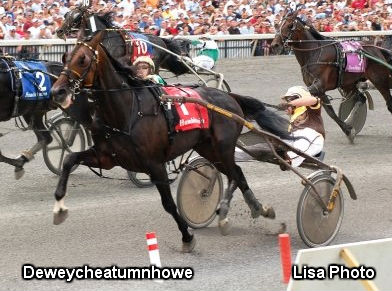 Deweycheatumnhowe Among Names In New Vocations Stallion Auction