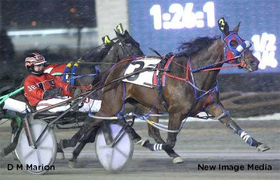 D M Marion Repeats In Ontario Girls