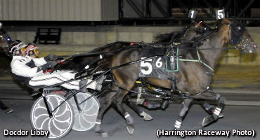 Docdor Libby Delivers In Mares Open