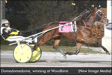 Lady Ping, Domedomedome Again