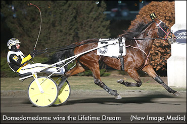 Lifetime Dream To Domedomedome