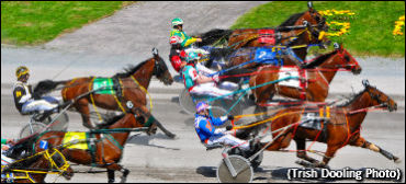 The End Of Newfoundland Horse Racing