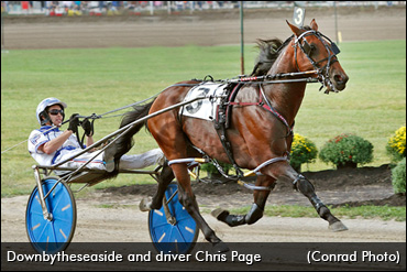 Dominant Downbytheseaside Qualifier