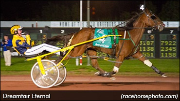 Dreamfair Eternal Retired