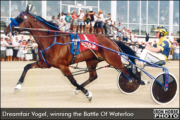 Dreamfair Vogel Passes