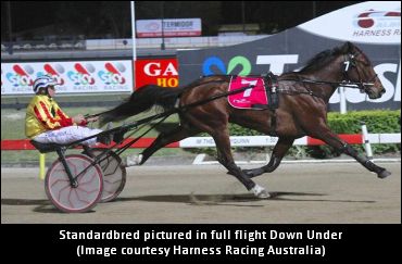 Study Focuses On Whipping