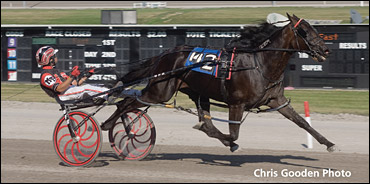 Trot NA Cup Spring Book - #9