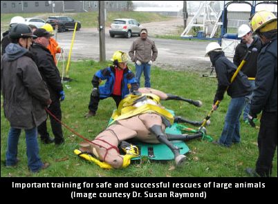Equine Rescue Course A Success